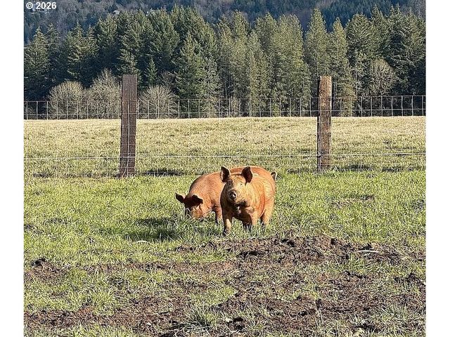 23625 S HIGHWAY 99W, Amity, OR 97101