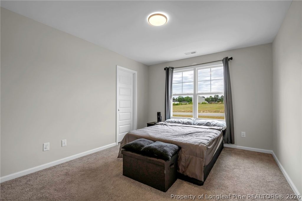 64 Dalmation Lane, Parkton, NC 28371 — photo 23