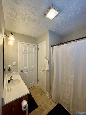 29440 Lakeview Drive, Ardmore, AL 35739