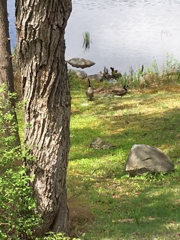 115 French E Road, Sutton, NH 03287