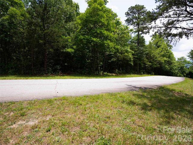 288 Eastman Place, Mill Spring, NC 28756