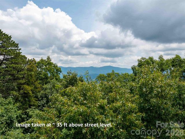 288 Eastman Place, Mill Spring, NC 28756