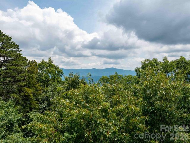288 Eastman Place, Mill Spring, NC 28756