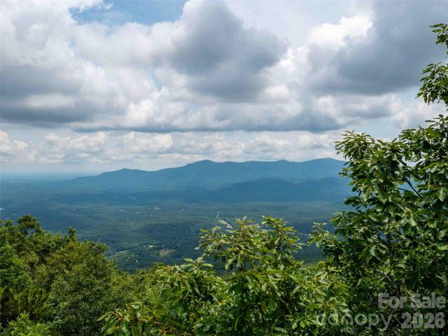 288 Eastman Place, Mill Spring, NC 28756
