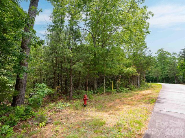 288 Eastman Place, Mill Spring, NC 28756