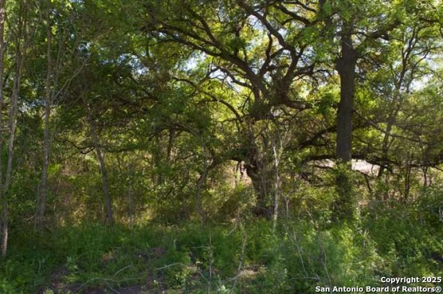 5797 blacksmith, Marion, TX 78124