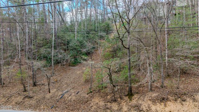 Lot G Proffitt Road, Gatlinburg, TN 37738