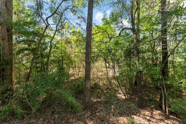 2347 W Settlers Way, The Woodlands, TX 77380