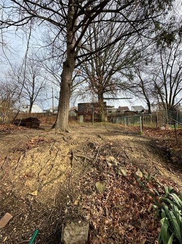 231 Rinne St, Arlington, PA 15210