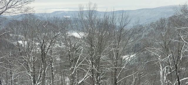 403 Horseshoe Way, Woodstock, VT 05071