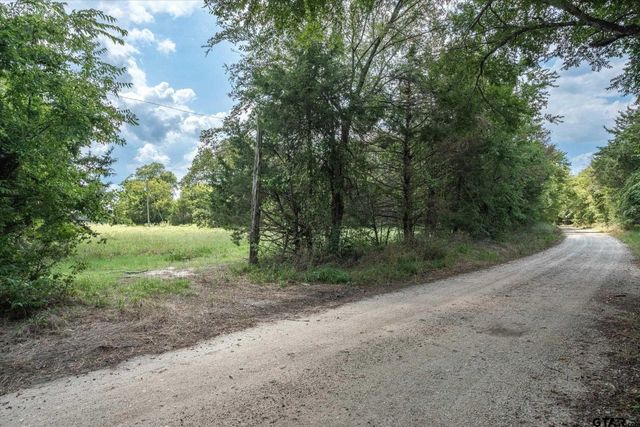 TBD VZ County Road 3812, Wills Point, TX 75169