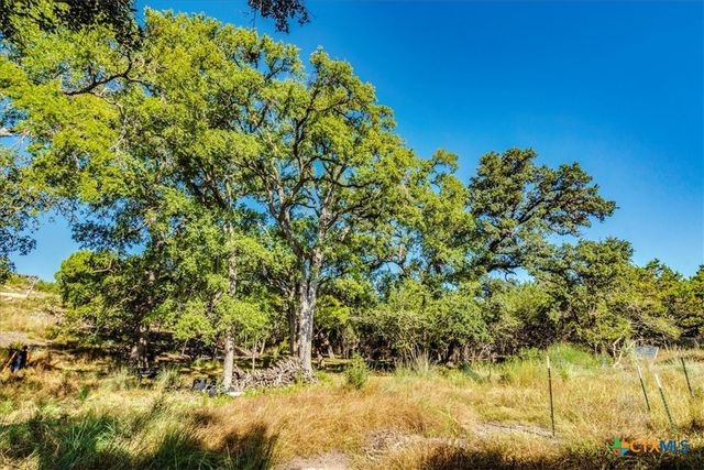 530 Stallion Estates, Spring Branch, TX 78070