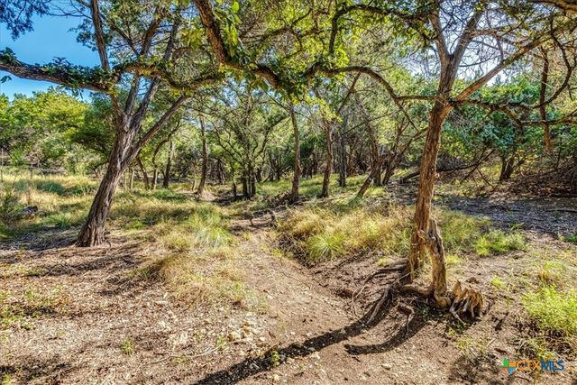 530 Stallion Estates, Spring Branch, TX 78070