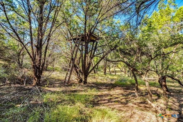 530 Stallion Estates, Spring Branch, TX 78070