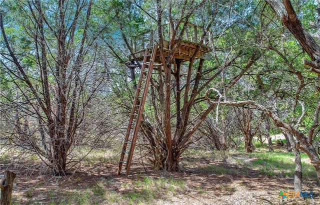 530 Stallion Estates, Spring Branch, TX 78070