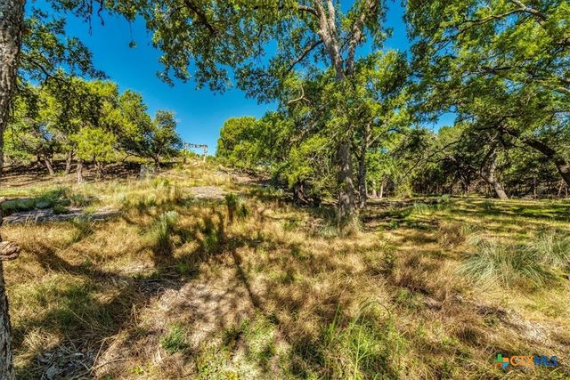 530 Stallion Estates, Spring Branch, TX 78070