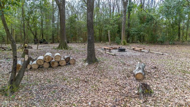 28 W M Stewart Road, Carriere, MS 39426