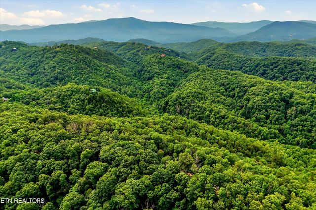 71 Redtail Rd, Sevierville, TN 37862