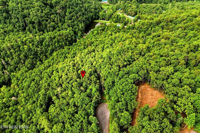 71 Redtail Rd, Sevierville, TN 37862