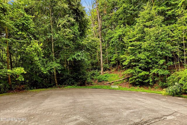 71 Redtail Rd, Sevierville, TN 37862
