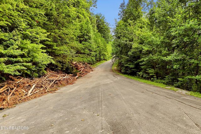 71 Redtail Rd, Sevierville, TN 37862