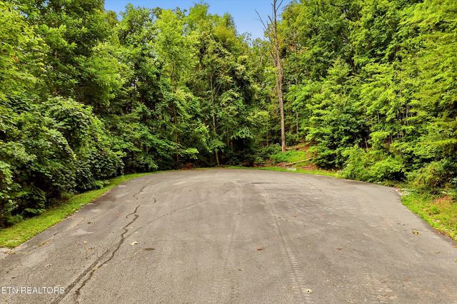 71 Redtail Rd, Sevierville, TN 37862