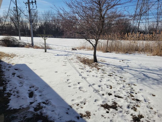 1216 Balmoral Avenue, Calumet City, IL 60409