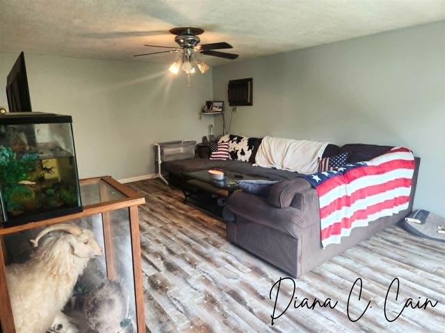 123 Riverside Drive, Hart, MI 49420