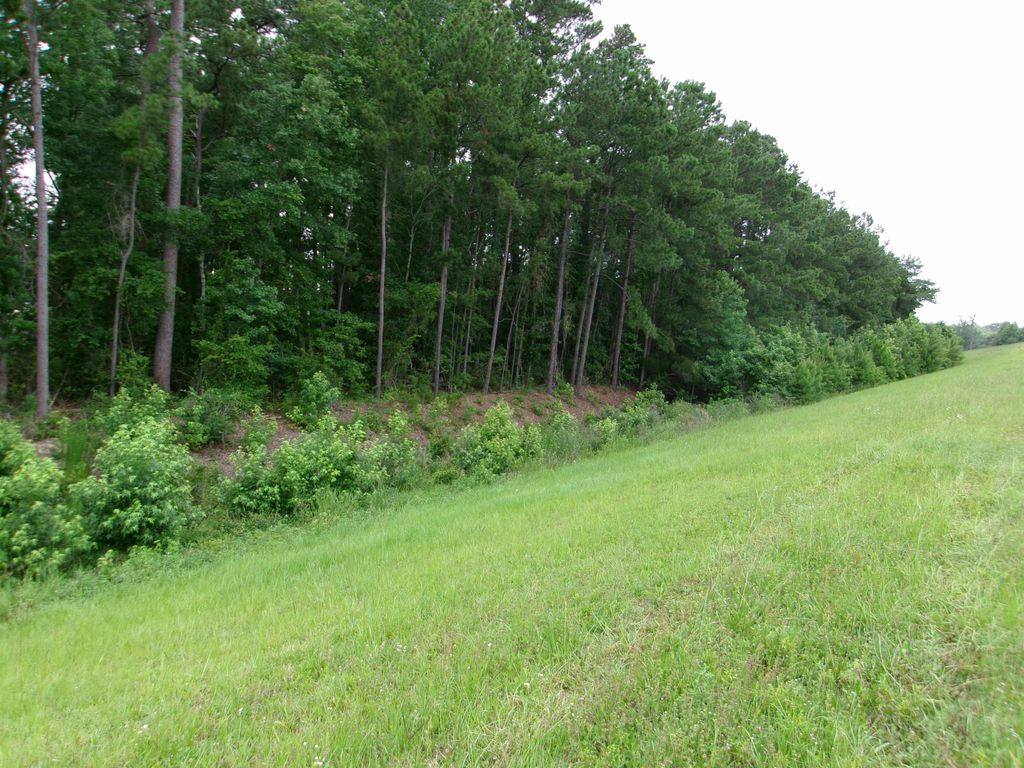 Highway 544, Myrtle Beach, SC 29588 — exterior