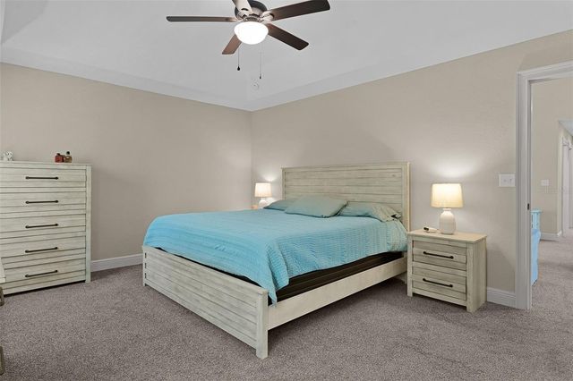 13 MALAUKA RADIAL RUN, Ocklawaha, FL 32179