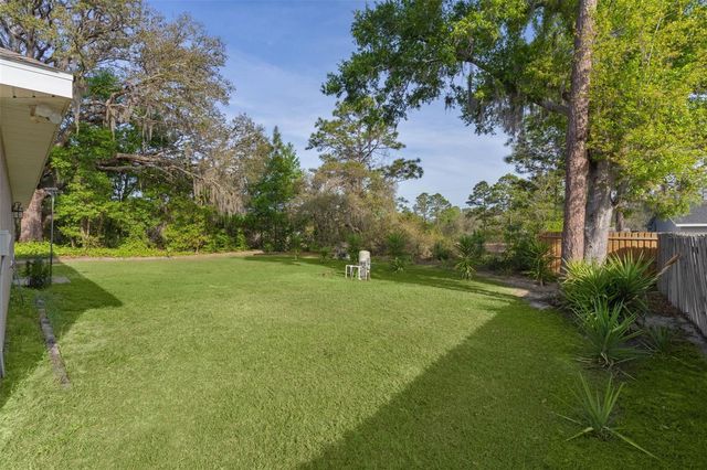 13 MALAUKA RADIAL RUN, Ocklawaha, FL 32179