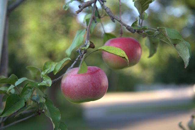 1136 County Road C2 W, Roseville, MN 55113