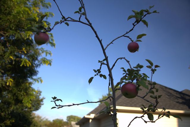 1136 County Road C2 W, Roseville, MN 55113