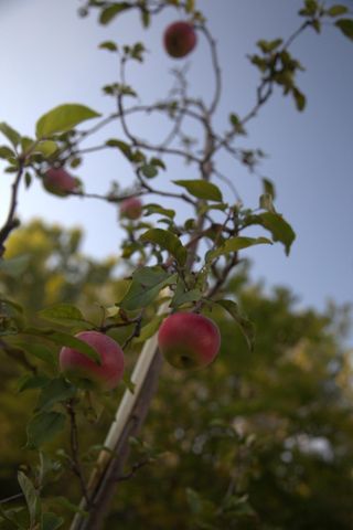 1136 County Road C2 W, Roseville, MN 55113