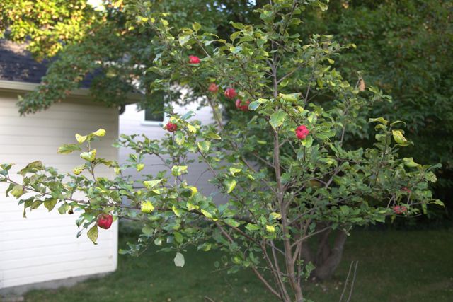 1136 County Road C2 W, Roseville, MN 55113