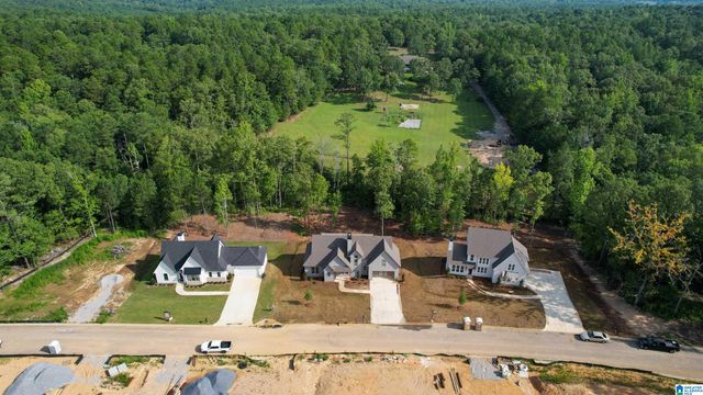 4040 CHELSEA RIDGE TRAIL, Columbiana, AL 35051