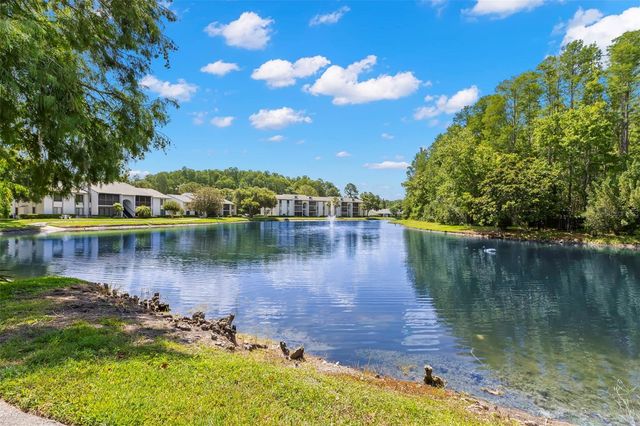 1290 PINE RIDGE CIRCLE E E1, Tarpon Springs, FL 34688