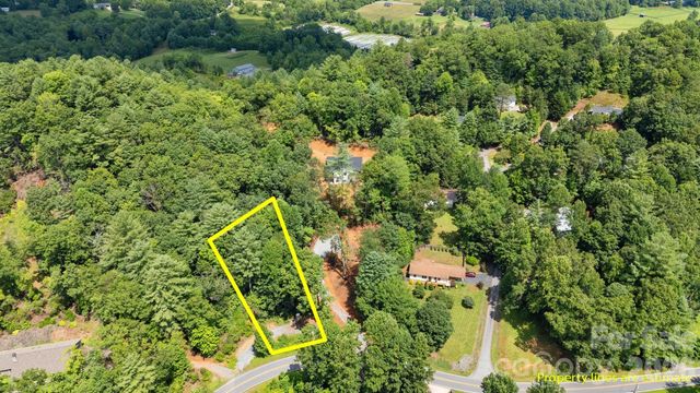 0 Turnpike Road 5, Horse Shoe, NC 28742