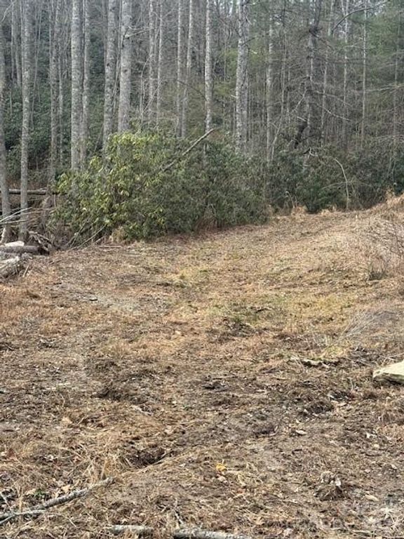 0 Benton Drive, Etowah, NC 28729