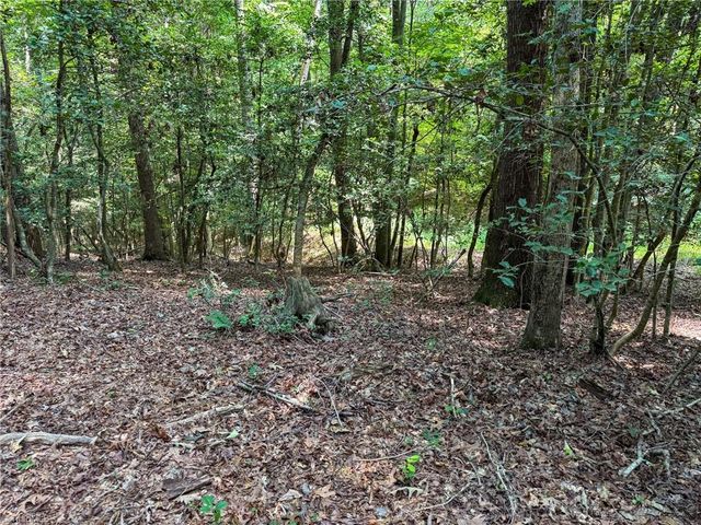 0 Rainbow Trout Drive, Hays, NC 28635