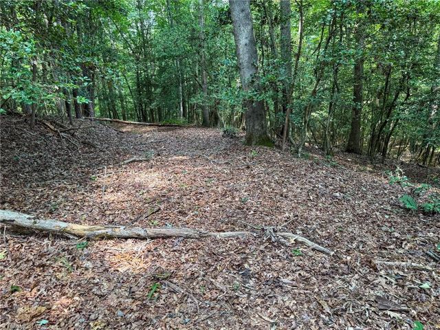0 Rainbow Trout Drive, Hays, NC 28635