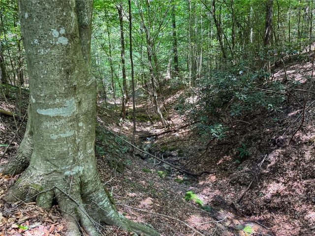 0 Rainbow Trout Drive, Hays, NC 28635