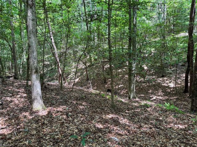 0 Rainbow Trout Drive, Hays, NC 28635