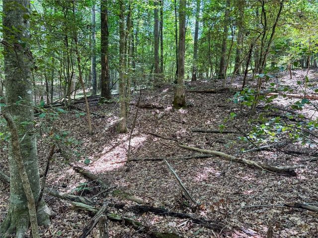 0 Rainbow Trout Drive, Hays, NC 28635