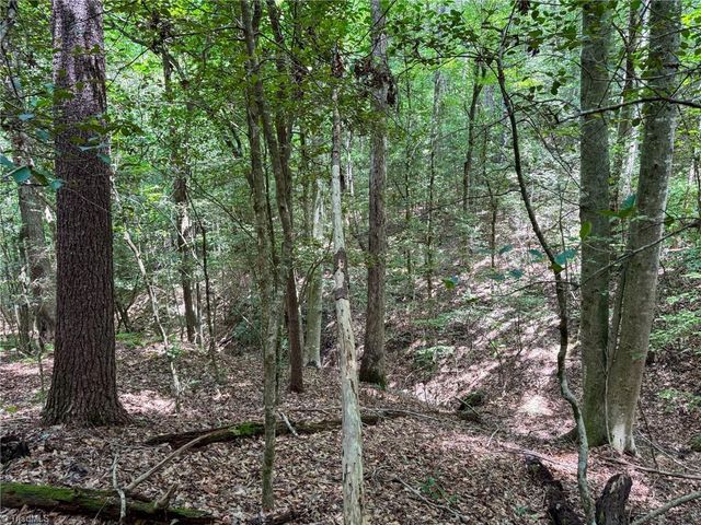 0 Rainbow Trout Drive, Hays, NC 28635