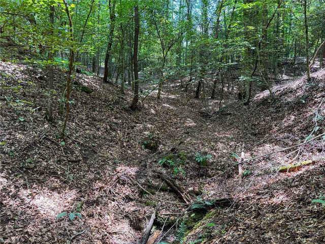0 Rainbow Trout Drive, Hays, NC 28635