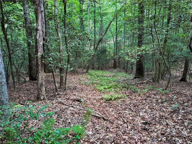 0 Rainbow Trout Drive, Hays, NC 28635