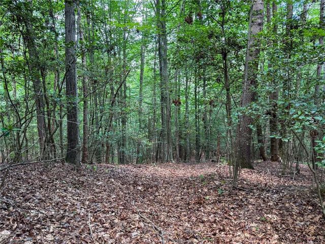 0 Rainbow Trout Drive, Hays, NC 28635