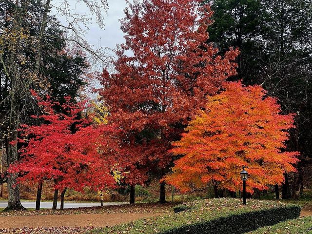 371 Wilson Boat Dock Rd, Lebanon, TN 37087