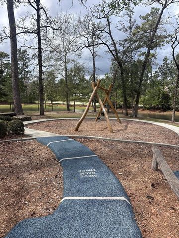 6 Gentle Branch Place, Tomball, TX 77375